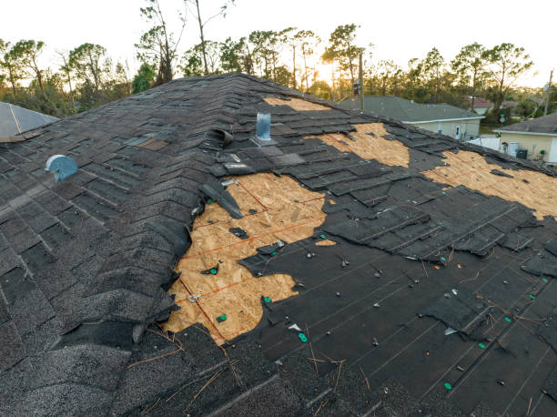 Best Roof Insulation Installation  in Connelly Springs, NC